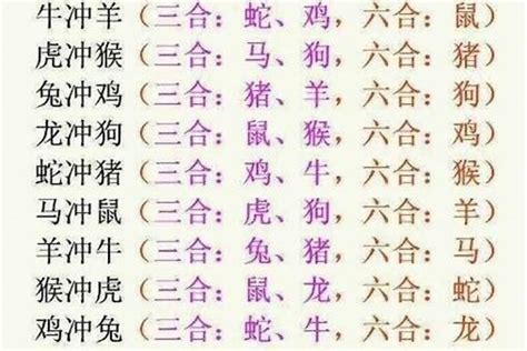 馬狗三合|何謂三合六合？12生肖貴人對照表 (圖) 